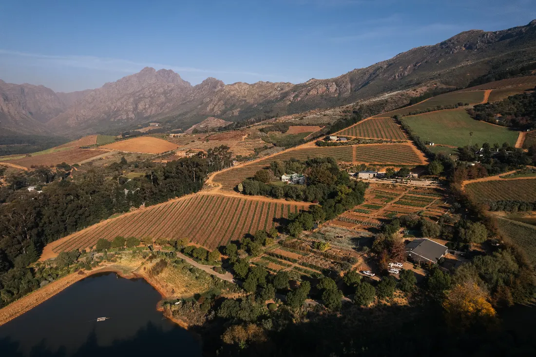 Aerial view over vineyards and mountains in the Banghoek Valley, Stellenbosch
