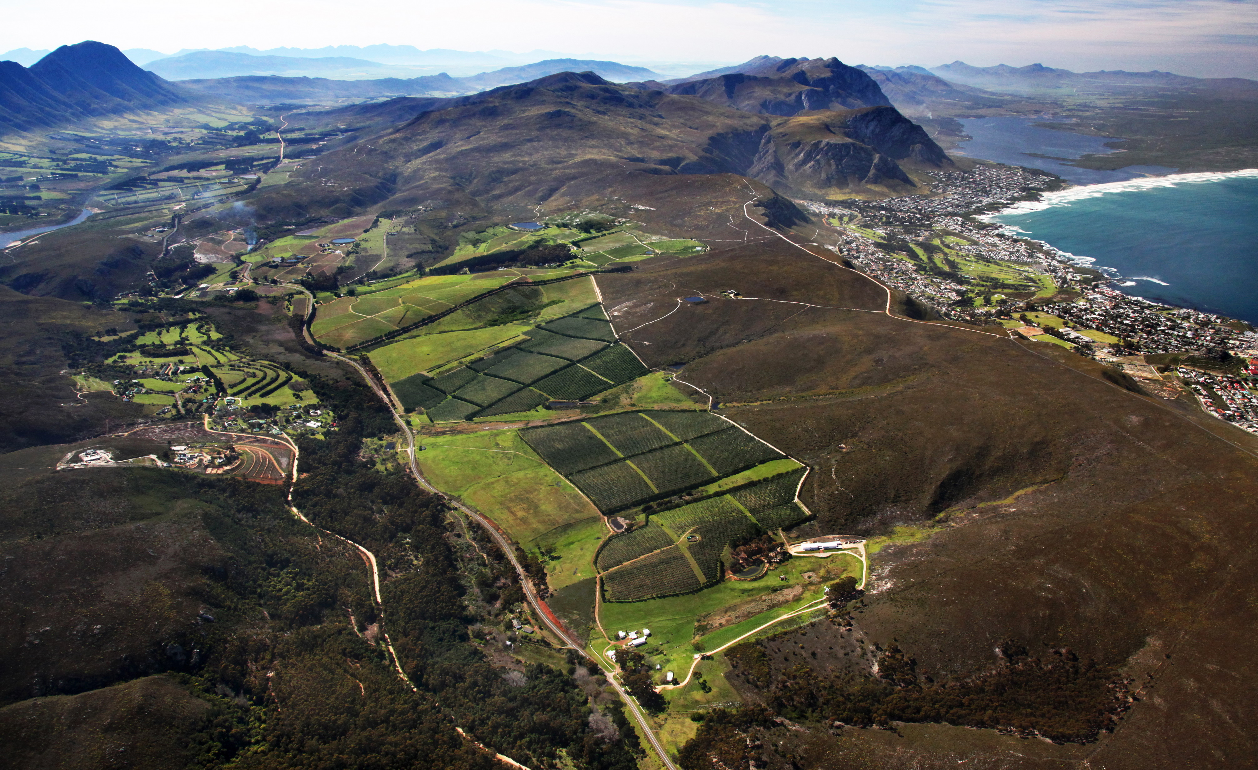 Aerial view of the Hemel-en-Aarde Valley vineyards meeting the sea at Hermanus