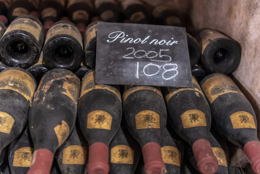 Dusty bottles of Pinot Noir resting in the Hamilton Russell wine library
