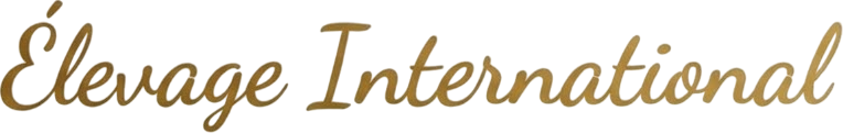 Élevage International