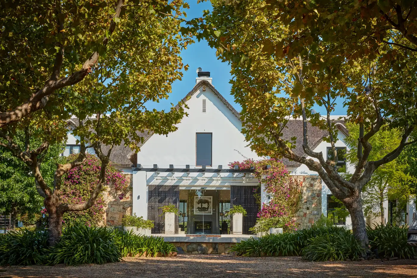 The Oldenburg Vineyards tasting room framed by plane trees and bougainvillea