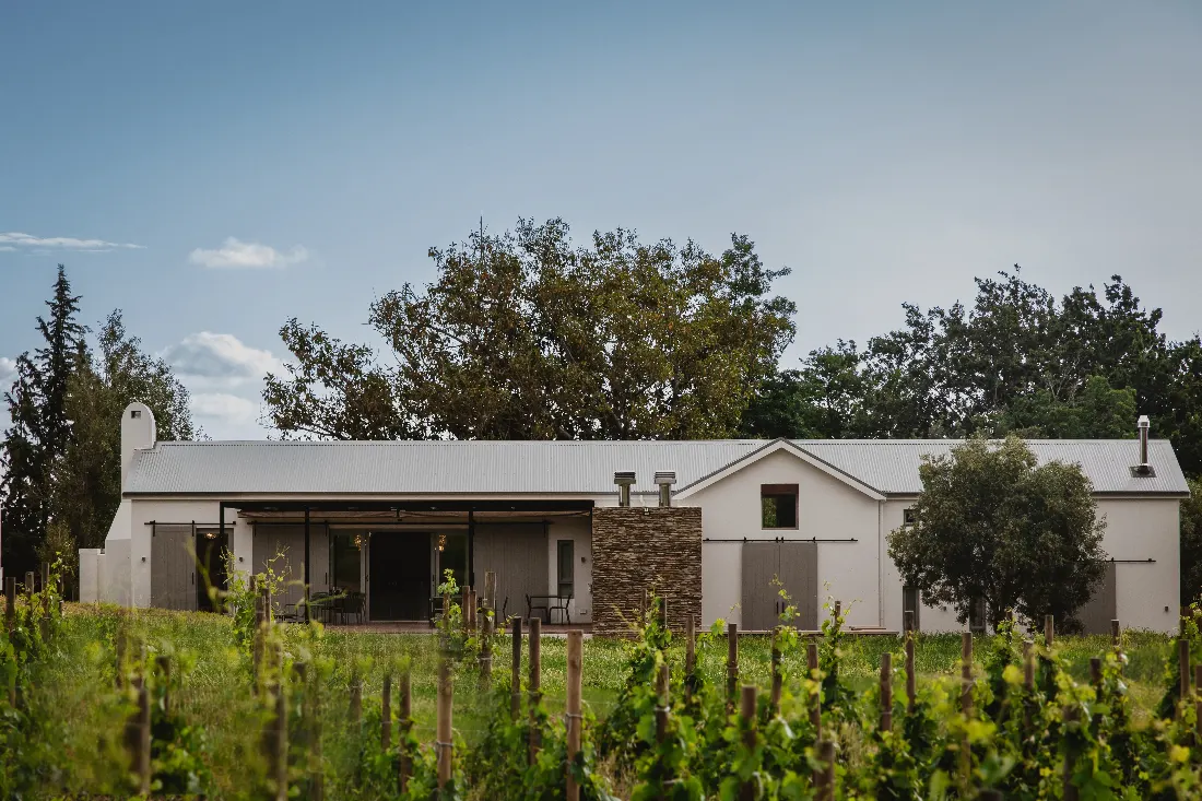 The Roundstone Farm tasting room seen through young vines