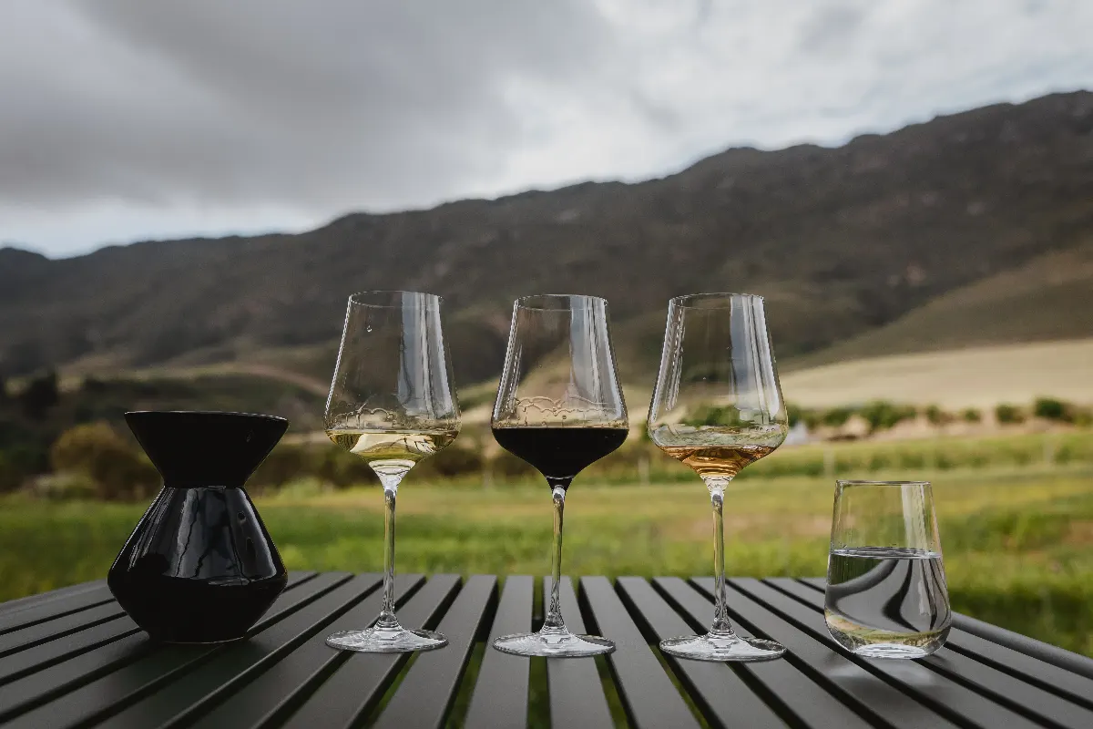 A tasting flight at Roundstone Farm, Swartland